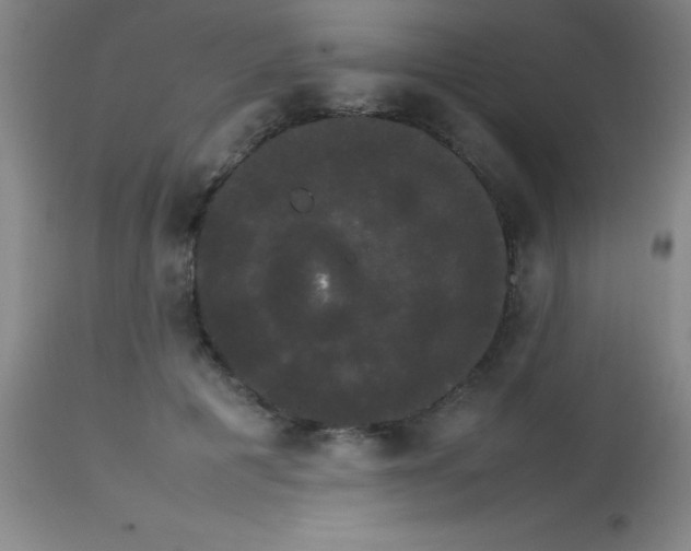 X0000113850601200910151214