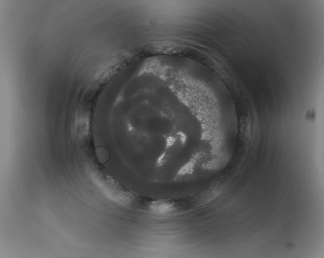 X0000113850602200910151214