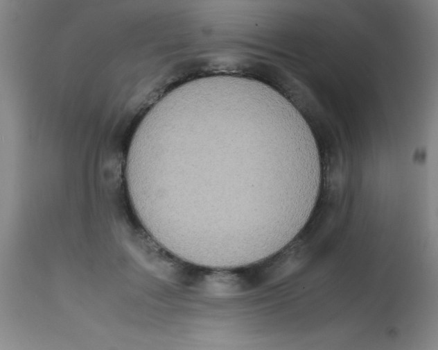 X0000113850603200910151214