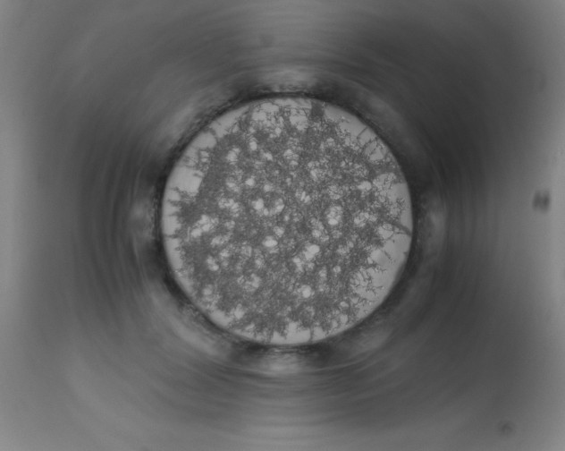 X0000113850604200910151214