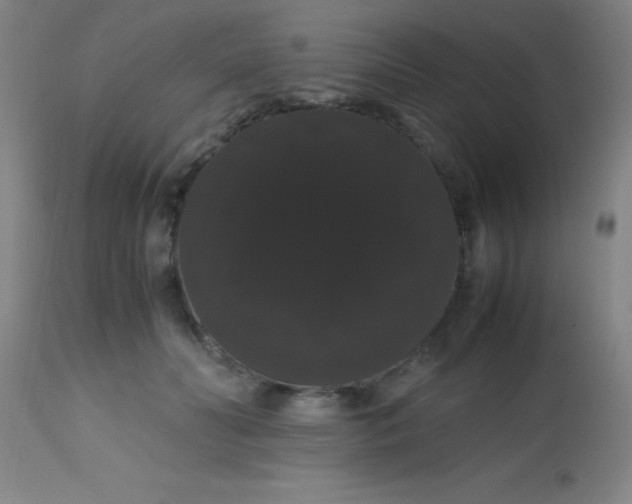 X0000113850606200910151214