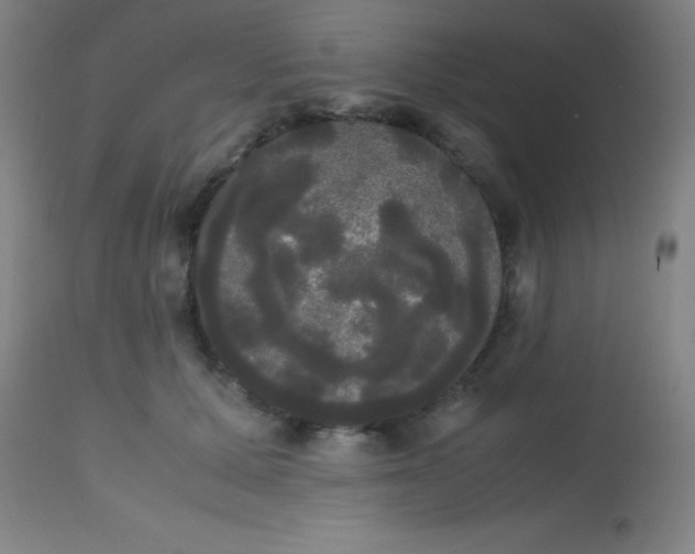 X0000113850607200910151214