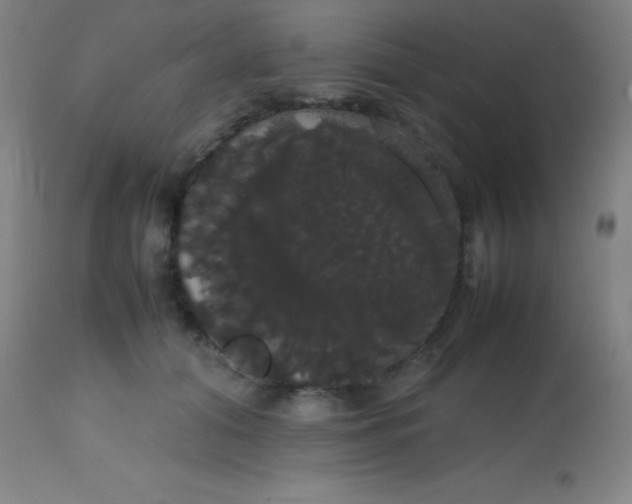 X0000113850608200910151214