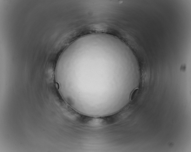 X0000113850609200910151214