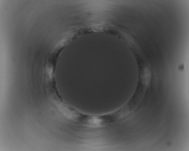 X0000113850610200910151214