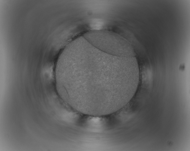 X0000113850611200910151213