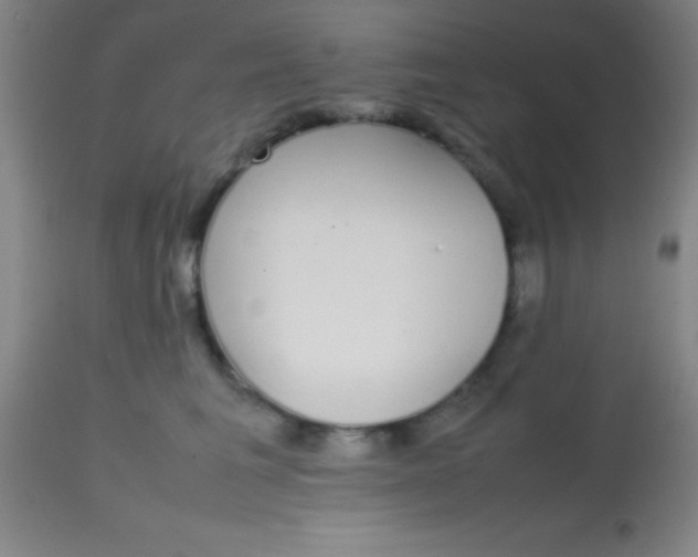 X0000113850613200910151213