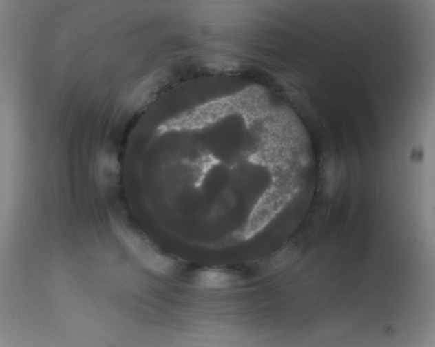 X0000113850614200910151213