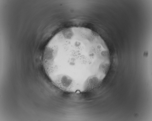 X0000113850615200910151213