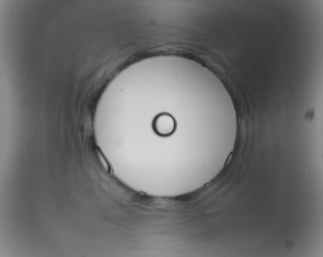 X0000113850617200910151213