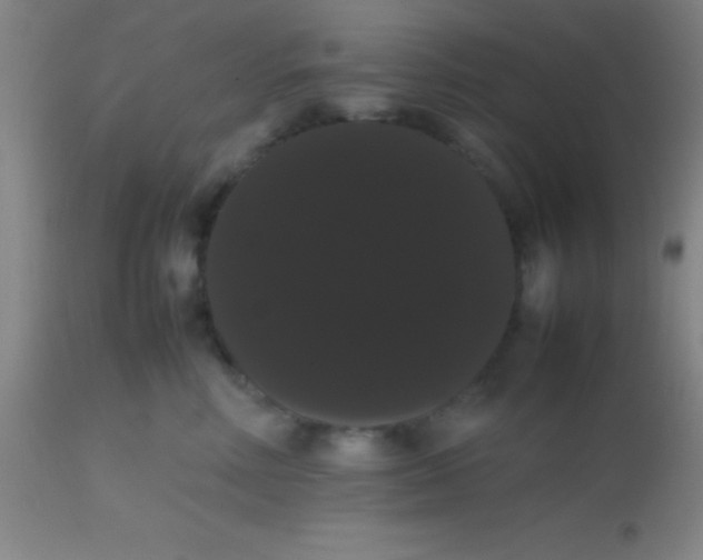 X0000113850618200910151213