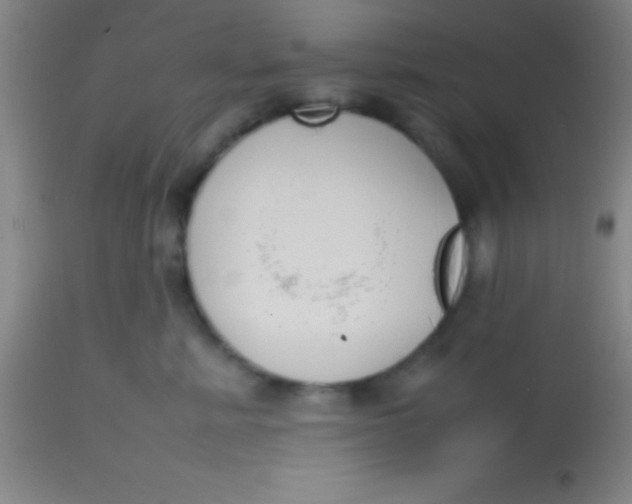 X0000113850619200910151213