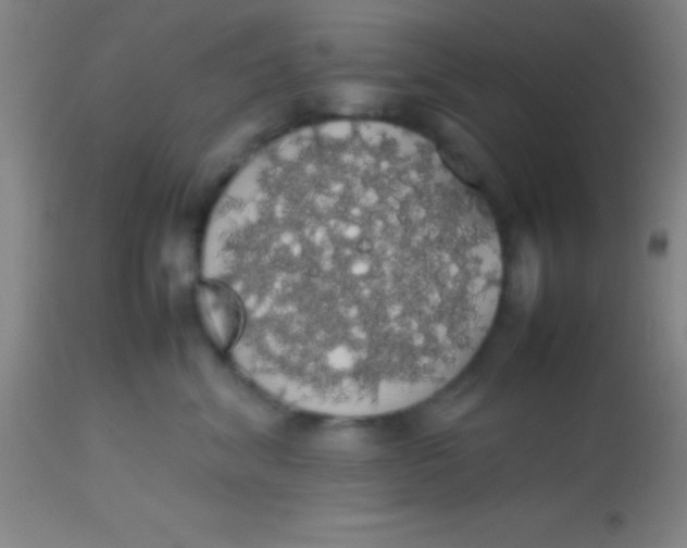 X0000113850620200910151213