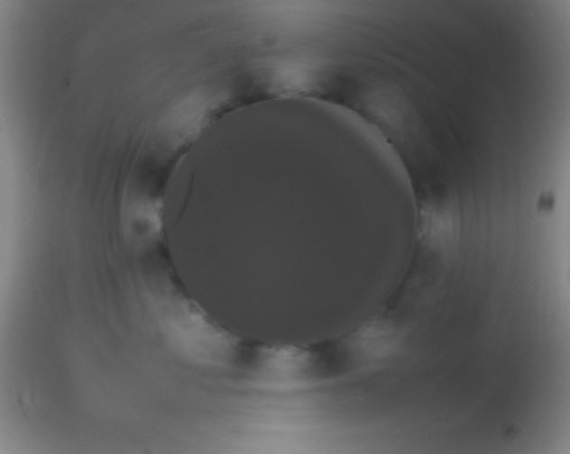 X0000113850621200910151213