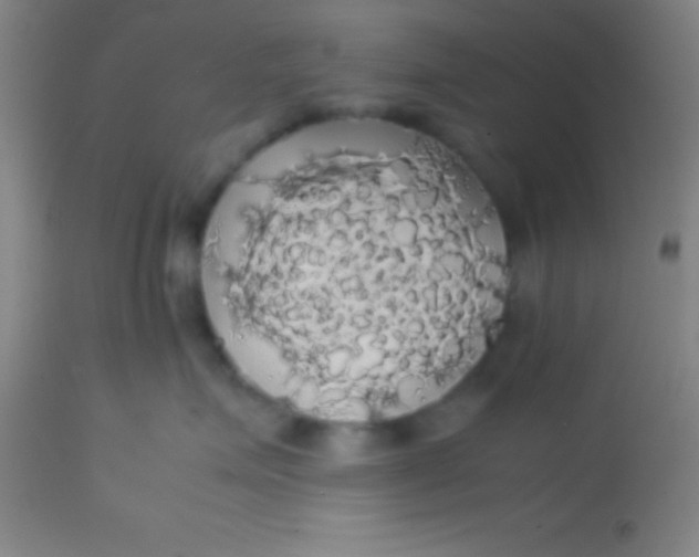 X0000113850623200910151213