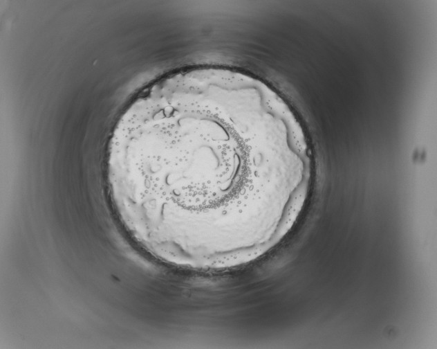 X0000113850625200910151212