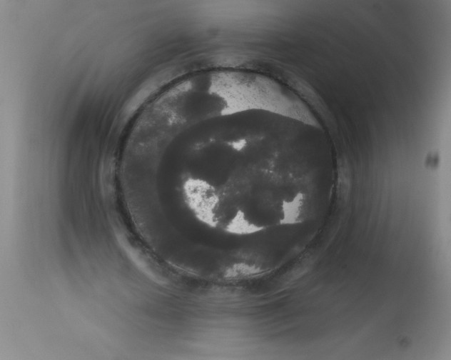 X0000113850626200910151213