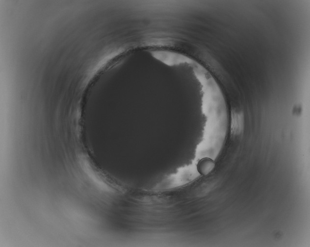 X0000113850627200910151213