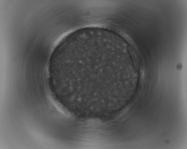 X0000113850628200910151213