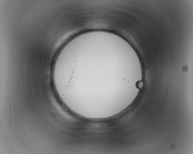 X0000113850629200910151213