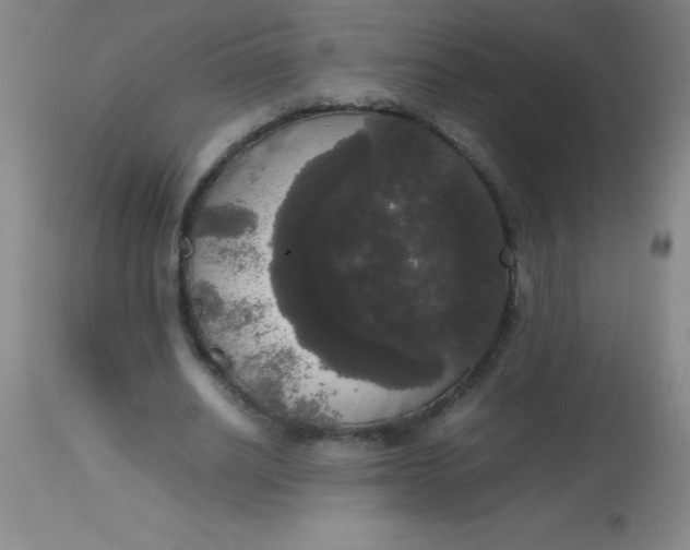 X0000113850630200910151213