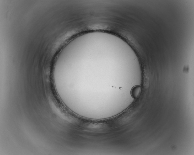 X0000113850631200910151213