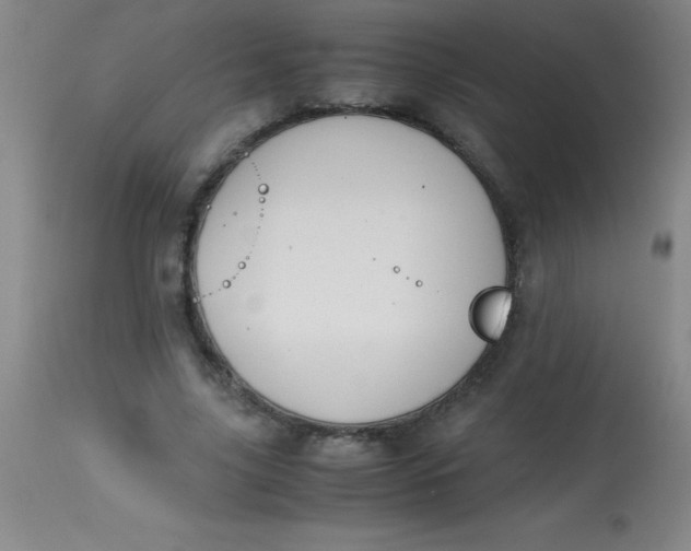 X0000113850635200910151213