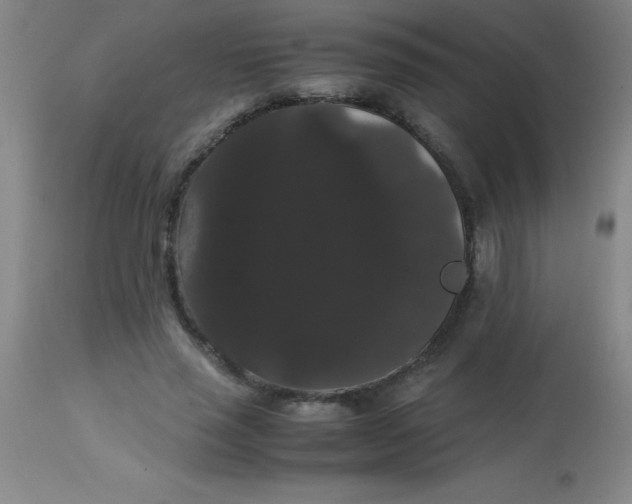 X0000113850637200910151213