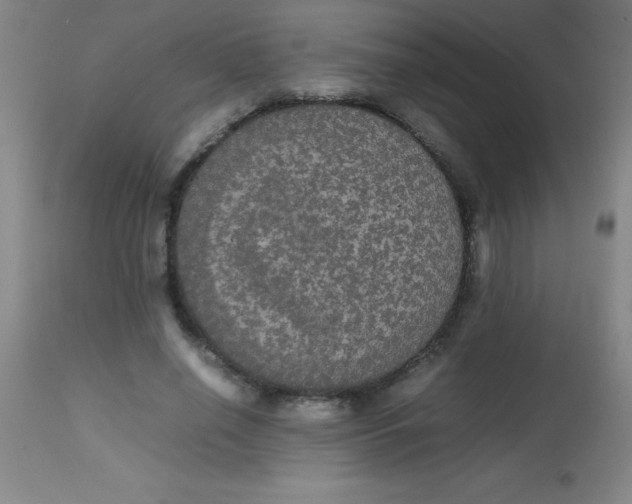 X0000113850638200910151213