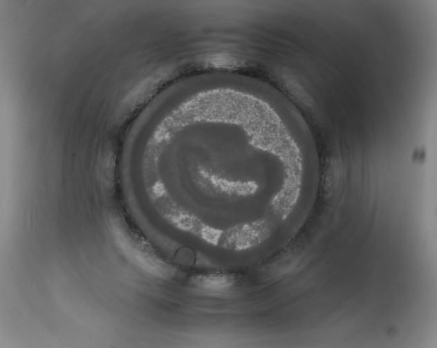 X0000113850639200910151213