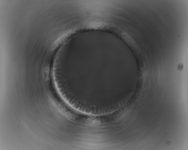 X0000113850640200910151213