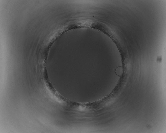 X0000113850641200910151213