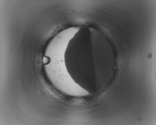 X0000113850642200910151213