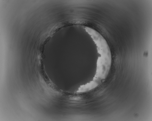 X0000113850643200910151213