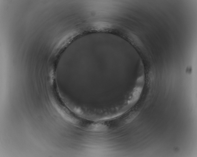 X0000113850644200910151213