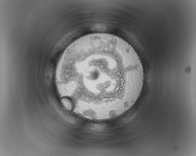 X0000113850645200910151213