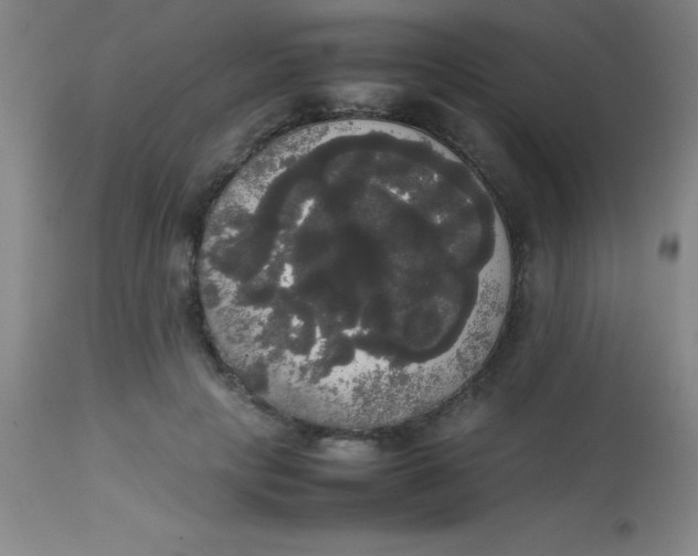 X0000113850649200910151213