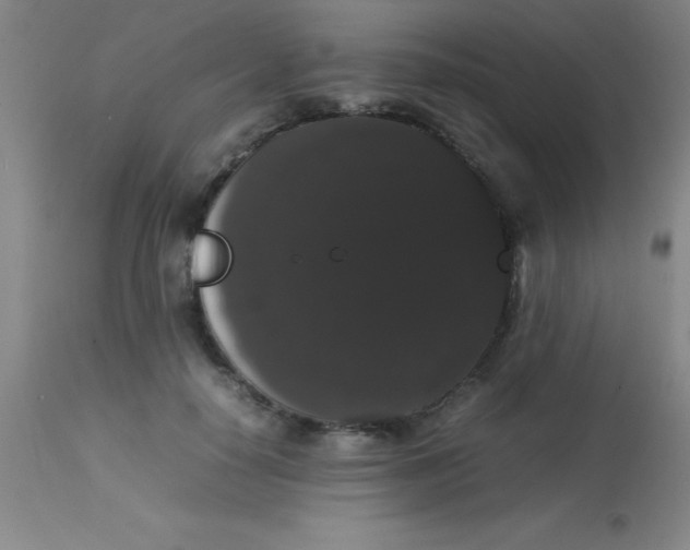 X0000113850650200910151213