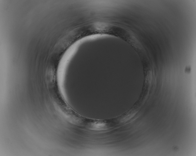 X0000113850651200910151213