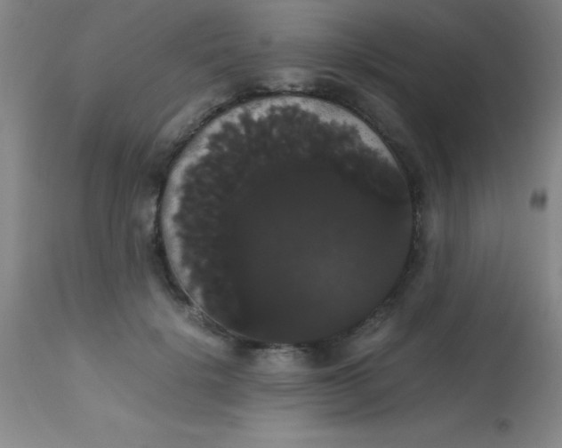 X0000113850652200910151213