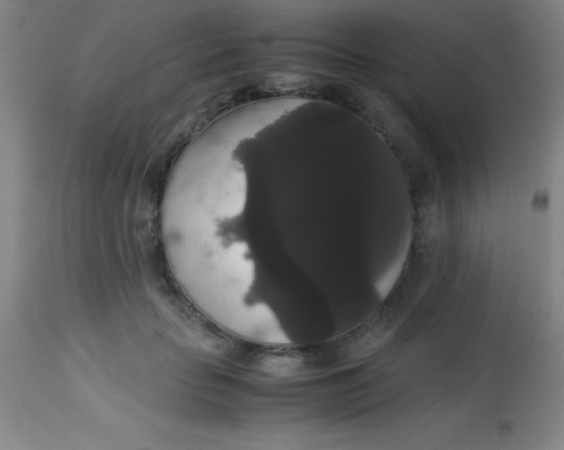 X0000113850653200910151213