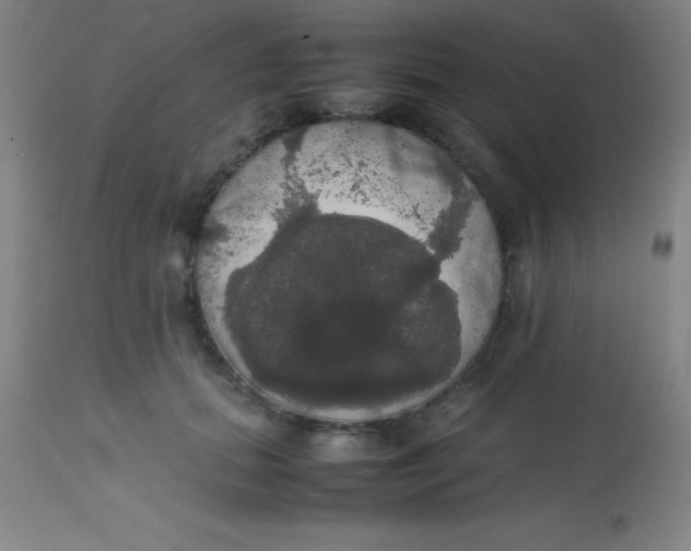 X0000113850655200910151213