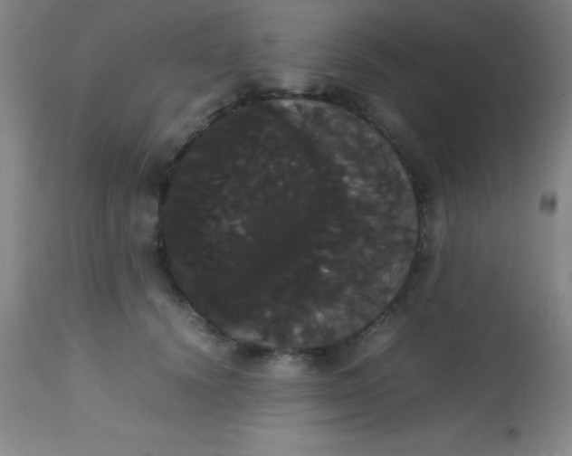 X0000113850656200910151213