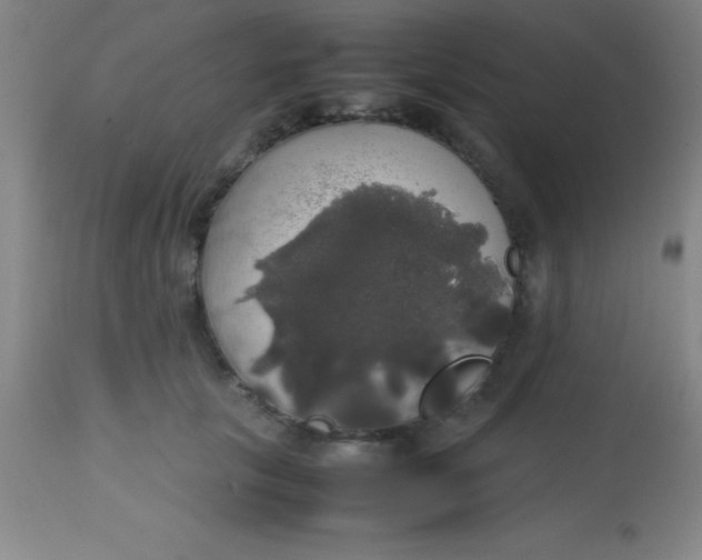 X0000113850657200910151213