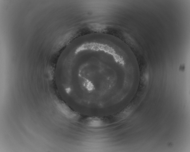 X0000113850658200910151213