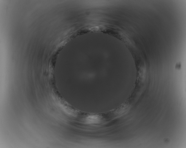 X0000113850659200910151213