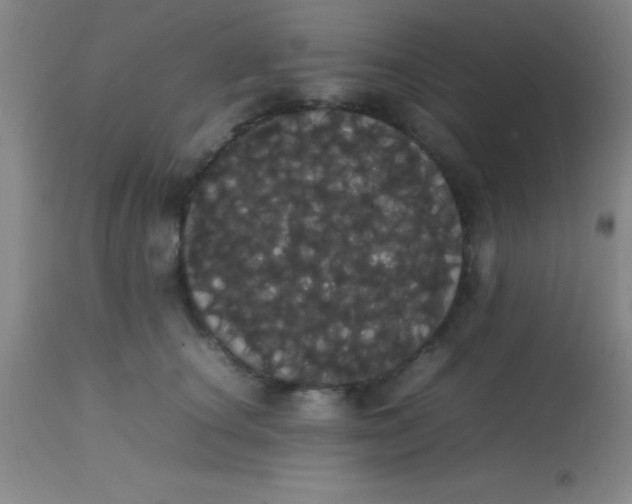 X0000113850660200910151213