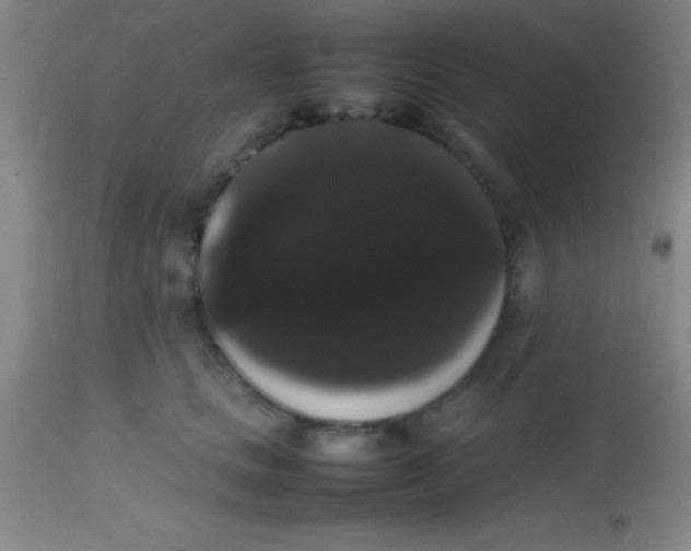 X0000113850661200910151213