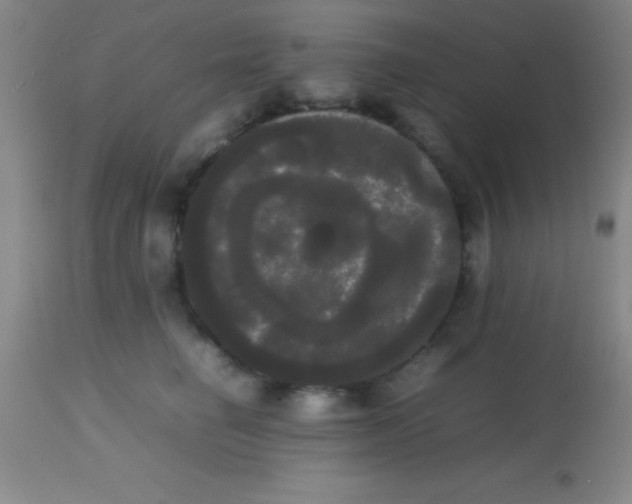 X0000113850662200910151213