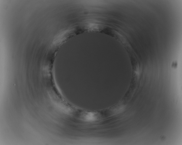 X0000113850663200910151213